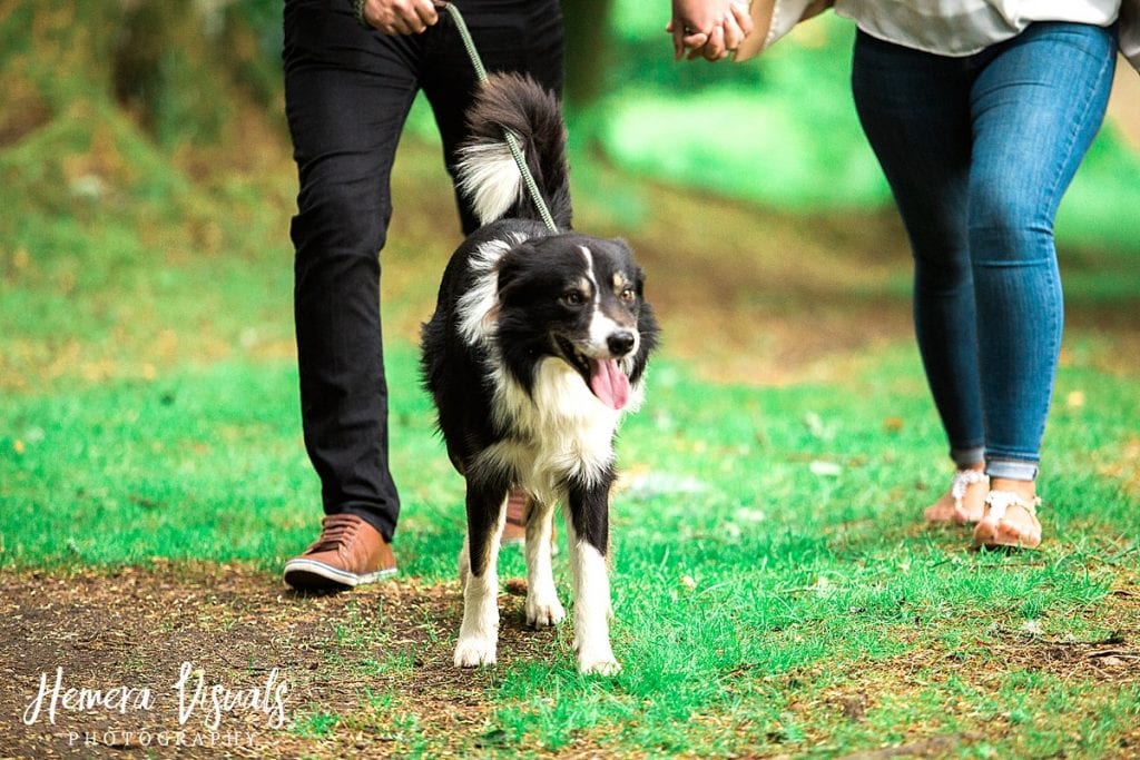 Drumlanrig Castle Dumfries Engagement shoot dog