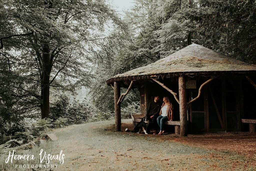 Drumlanring castle Dumfries Engagement Border Collie